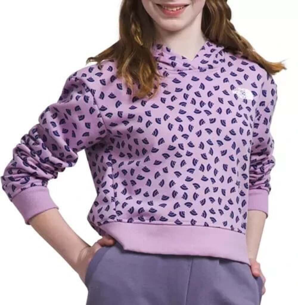 The North Face Girl's Size XL Lupine Logo Print Camp Fleece Pullover Hoodie NWT